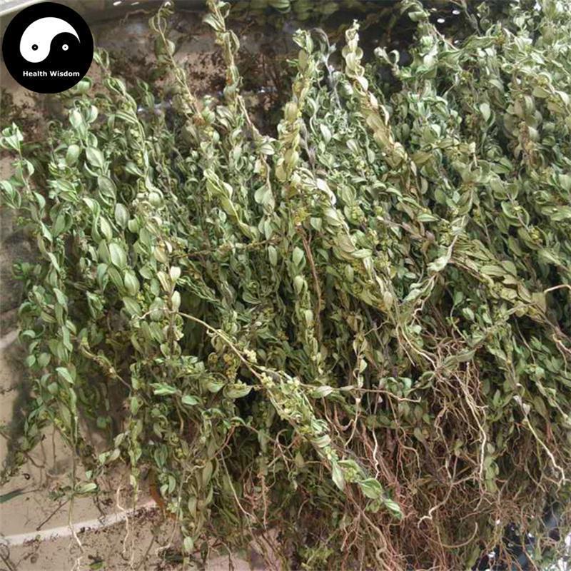 Xiao Jin Niu Cao 小金牛草, Herba Polygala Arvensis-Health Wisdom™