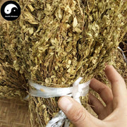 Xiao Jin Niu Cao 小金牛草, Herba Polygala Arvensis-Health Wisdom™