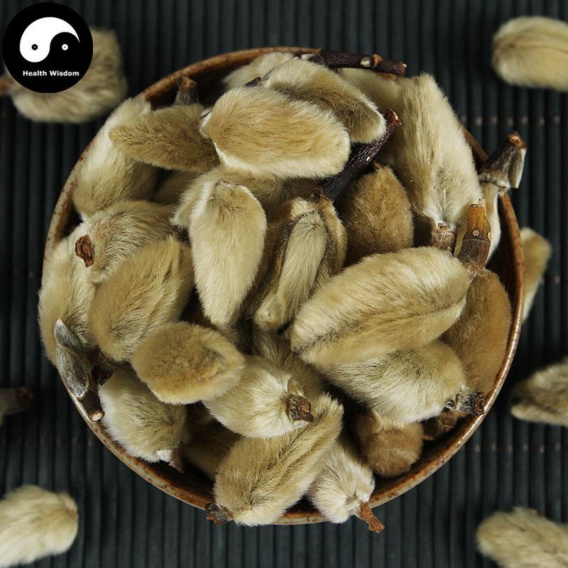 Xin Yi Hua 辛夷花, Flos Magnolia Denudata, Magnolia Flower-Health Wisdom™