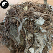 Xing Xiang Tu Er Feng 杏香兔耳风, Herba Ainsliaea Fragrans Champ-Health Wisdom™