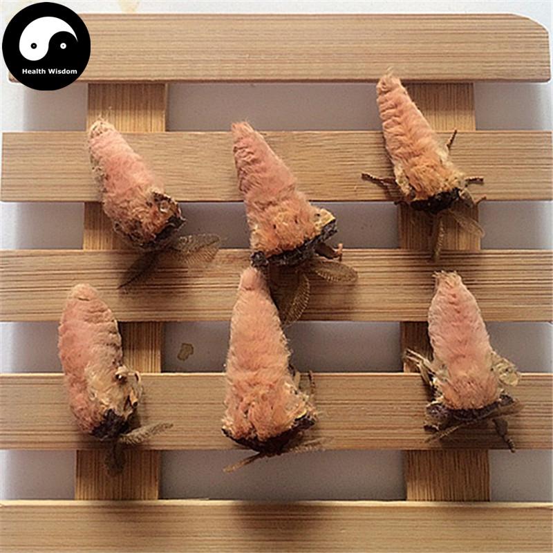 Xiong Can E 雄蚕蛾, Male Silkworm Moth, Male Sex Tonic-Health Wisdom™