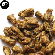 Xiong Can E 雄蚕蛾, Male Silkworm Moth, Male Sex Tonic-Health Wisdom™