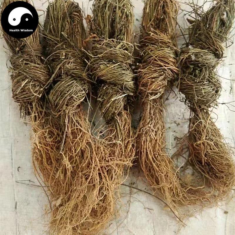 Xu Chang Qing 徐長卿, Paniculate Swallowwort Root, Radix Cynanchi Paniculati-Health Wisdom™