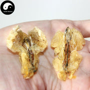 Xue Ha You 雪蛤油, Northeast Rana Chensinensis Oil, Chinese Snow Clams/Frogs Oil-Health Wisdom™