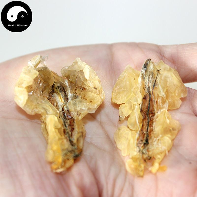 Xue Ha You 雪蛤油, Northeast Rana Chensinensis Oil, Chinese Snow Clams/Frogs Oil-Health Wisdom™