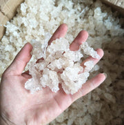 Xue Yan 雪燕, Sterculia Gum, Dried Herbal Collagen Gum Tragacanth-Health Wisdom™