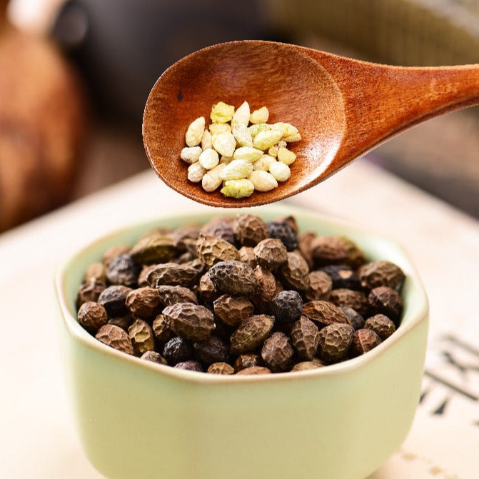 Ya Dan Zi Ren 鴉膽子仁, No Shell Fructus Bruceae, Java Brucea Fruit, Brucea Javanica-Health Wisdom™