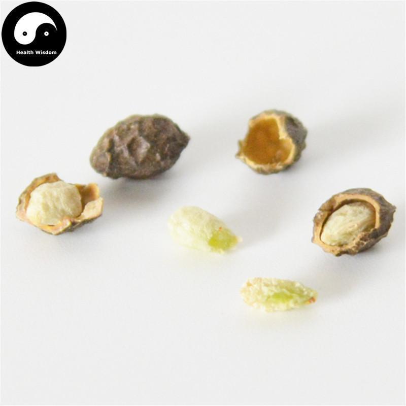 Ya Dan Zi Ren 鴉膽子仁, No Shell Fructus Bruceae, Java Brucea Fruit, Brucea Javanica-Health Wisdom™