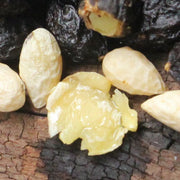 Ya Dan Zi You 鴉膽子油, Fructus Bruceae Extract Oils, Java Brucea Fruit, Brucea Javanica-Health Wisdom™