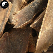 Ya Jiao Mu Pi 鸭脚木皮, Schefflera Octophyyla Bark, Cortex Schefflera Octophyyla-Health Wisdom™