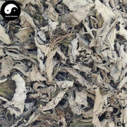 Yan Bai Cai 巖白菜, Bergenia Purpurascens Herb, Herba Bergeniae, Yan Qi-Health Wisdom™