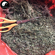 Yan Huang Lian 岩黄连, Herba Corydalis Saxicola Bunting, Yan Hu-Health Wisdom™