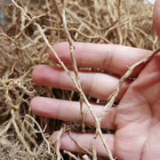 Yan Lan Cao Gen 岩兰草根, Chrysopogon Zizanioides Roots, Vetiver Root-Health Wisdom™