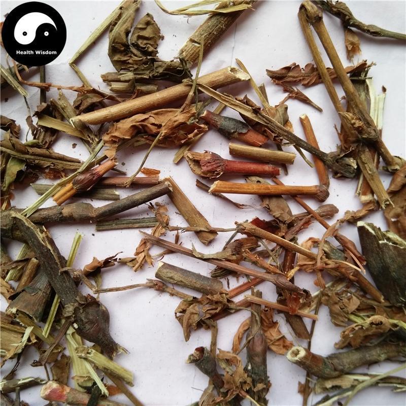 Yang Hong Shan 羊红膻, Herba Pimpinella Thellungiana, Liu Yue Han-Health Wisdom™