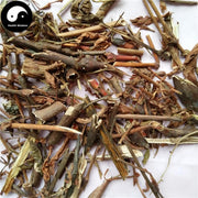 Yang Hong Shan 羊红膻, Herba Pimpinella Thellungiana, Liu Yue Han-Health Wisdom™
