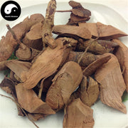 Yang Mei Gen 楊梅根, Radix Myricae Rubrae, Chinese Waxmyrtle Root-Health Wisdom™
