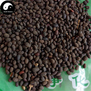 Ye Liao Dou 野料豆, Wild Groundnut Seed, Ma Liao Dou-Health Wisdom™