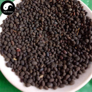 Ye Liao Dou 野料豆, Wild Groundnut Seed, Ma Liao Dou-Health Wisdom™