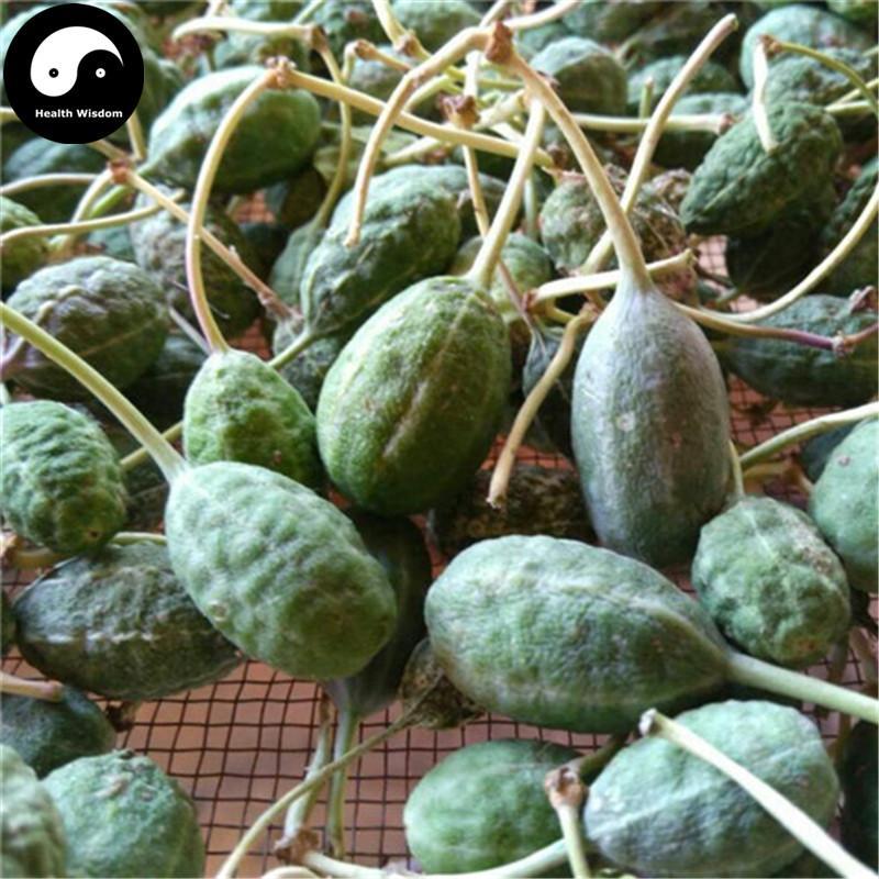 Ye Xi Gua 野西瓜, Wild Watermelon, Hibiscus Trionum Linn-Health Wisdom™