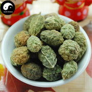 Ye Xi Gua 野西瓜, Wild Watermelon, Hibiscus Trionum Linn-Health Wisdom™