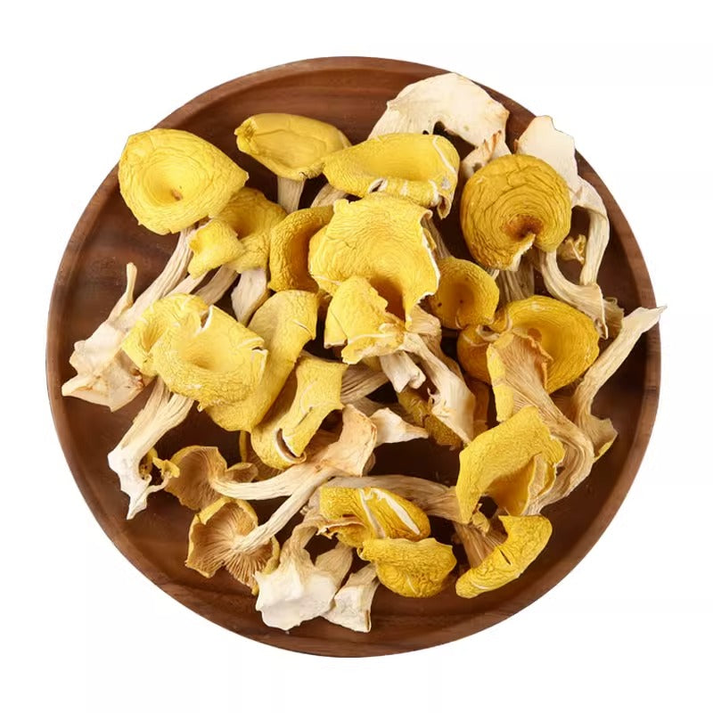 Yellow Mushroom, Wild Mushroom, Pleurotus Citrinopileatus, Yu Huang Mo 榆黄蘑-Health Wisdom™