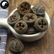 Yi Kou Zhong 一口钟, Eucalyptus Globulus Labill. Fruit, An Guo-Health Wisdom™