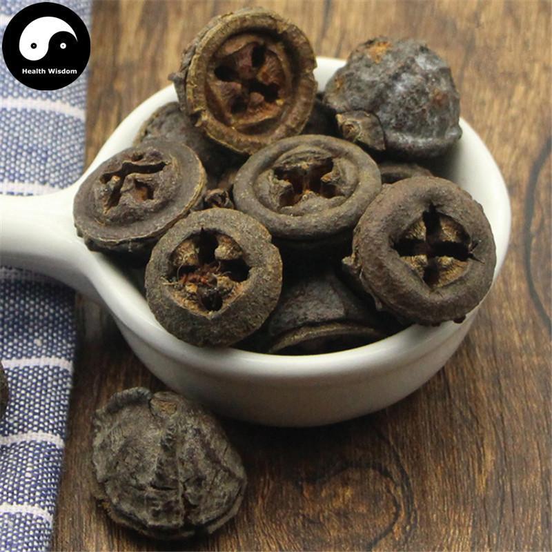 Yi Kou Zhong 一口钟, Eucalyptus Globulus Labill. Fruit, An Guo-Health Wisdom™