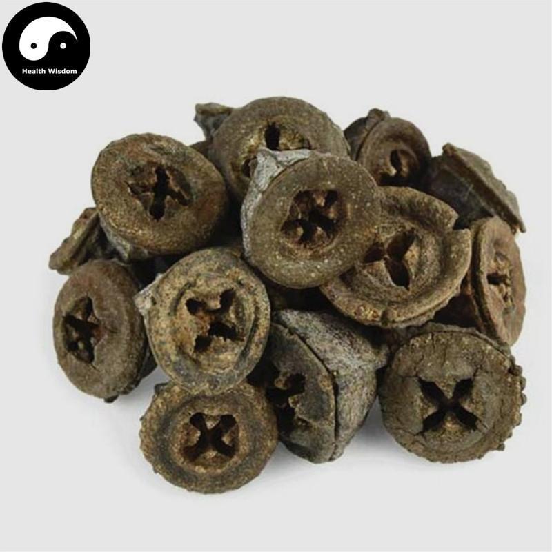 Yi Kou Zhong 一口钟, Eucalyptus Globulus Labill. Fruit, An Guo-Health Wisdom™