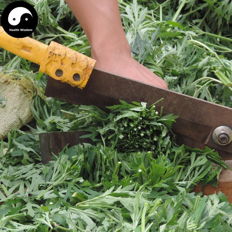 Yi Mu Cao 益母草, Herba Leonuri, Motherwort Herb, Leonurus Artemisia-Health Wisdom™