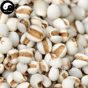 Yi Yi Ren 薏苡仁, Yi Ren, Yi Mi, Coix Seed, Semen Coicis-Health Wisdom™