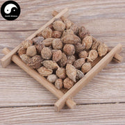 Yi Zhi Ren 益智仁, Fructus Alpiniae Oxyphyllae, Sharpleaf Galangal Fruit, Yi Zhi Zi-Health Wisdom™