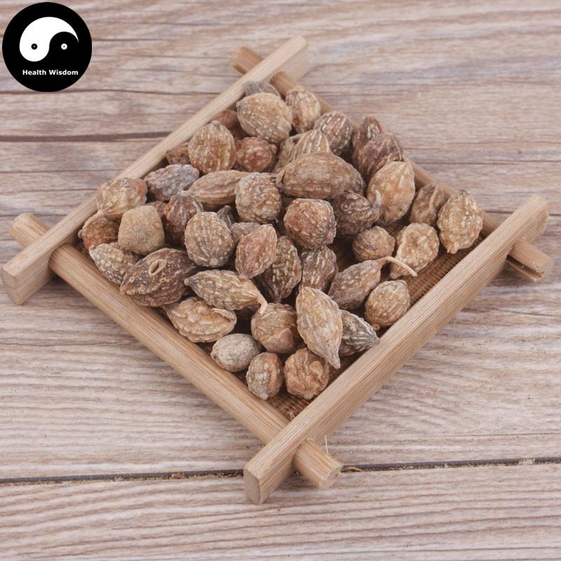Yi Zhi Ren 益智仁, Fructus Alpiniae Oxyphyllae, Sharpleaf Galangal Fruit, Yi Zhi Zi-Health Wisdom™