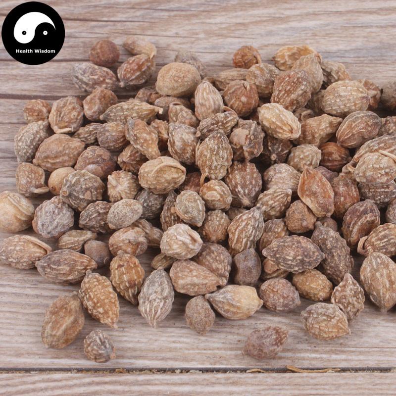 Yi Zhi Ren 益智仁, Fructus Alpiniae Oxyphyllae, Sharpleaf Galangal Fruit, Yi Zhi Zi-Health Wisdom™