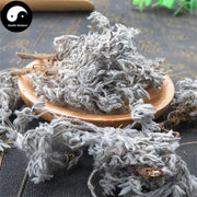 Yin Chen Hao 茵陳蒿, Herba Artemisiae Scopariae, Virgate Wormwood Herb, Mian Yin Chen, Capillary Wormwood Herb-Health Wisdom™