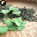 Yin Xing Ye 銀杏葉, Ginkgo Leaf, Folium Ginkgo, Bai Guo Ye-Health Wisdom™