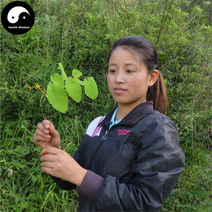 Yin Yang Huo 淫羊藿, Herba Epimedii, Xian Ling Pi, Epimedium Herb-Health Wisdom™