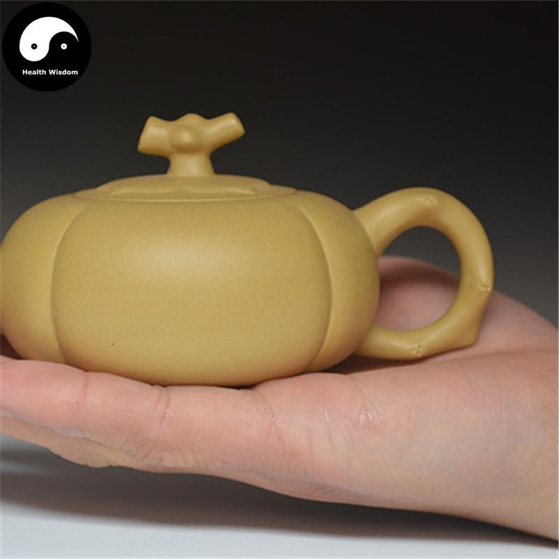 Yixing Zisha Teapot 120ml,Duan Clay-Health Wisdom™