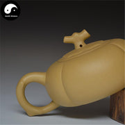 Yixing Zisha Teapot 120ml,Duan Clay-Health Wisdom™