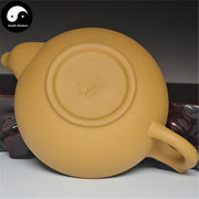 Yixing Zisha Teapot 200ml,Duan Clay-Health Wisdom™