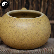 Yixing Zisha Teapot 200ml,Duan Clay-Health Wisdom™