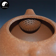 Yixing Zisha Teapot 240ml,Duan Clay,188 Holes-Health Wisdom™