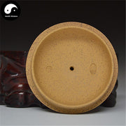 Yixing Zisha Teapot 260ml,Duan Clay,188 Holes-Health Wisdom™