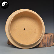 Yixing Zisha Teapot 280ml,Duan Clay-Health Wisdom™