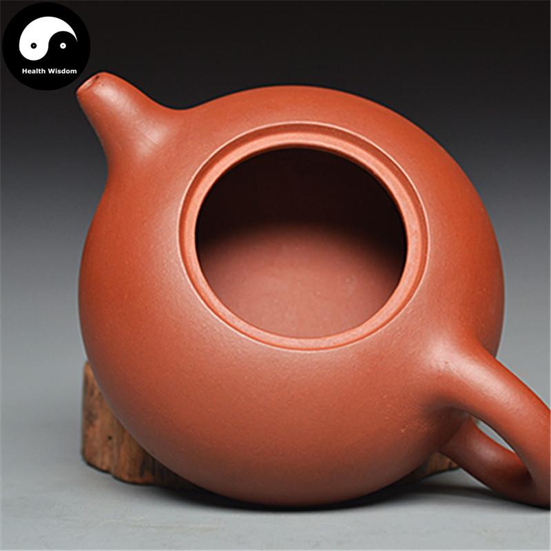 Yixing Zisha Teapot 300ml,Purple Clay-Health Wisdom™