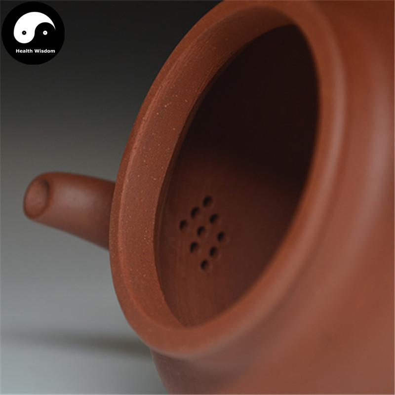 Yixing Zisha Teapot 300ml,Purple Clay-Health Wisdom™