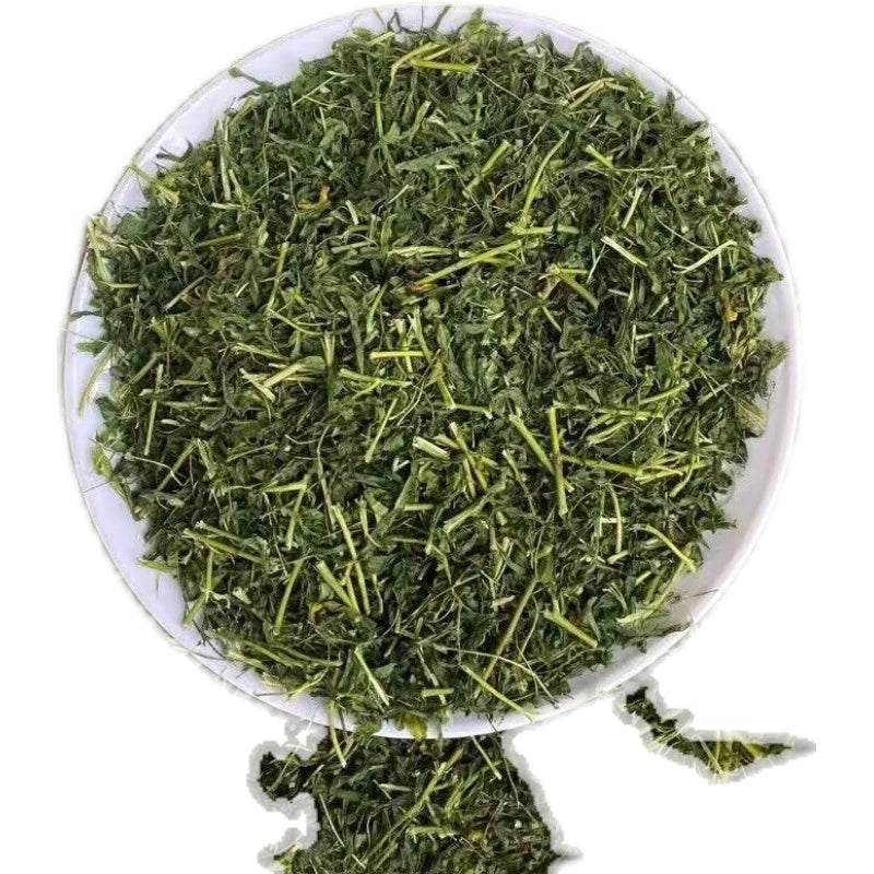 You Gan Cha 油柑茶, Dried Leaf Phyllanthi Tea, Phyllanthus Emblica Leaves, Yu Gan Ye 余甘叶-Health Wisdom™