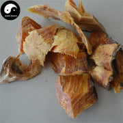 You Song Jie 油松节, Lignum Pini Nodi, Pine Nodular Branch, Song Lang Tou-Health Wisdom™