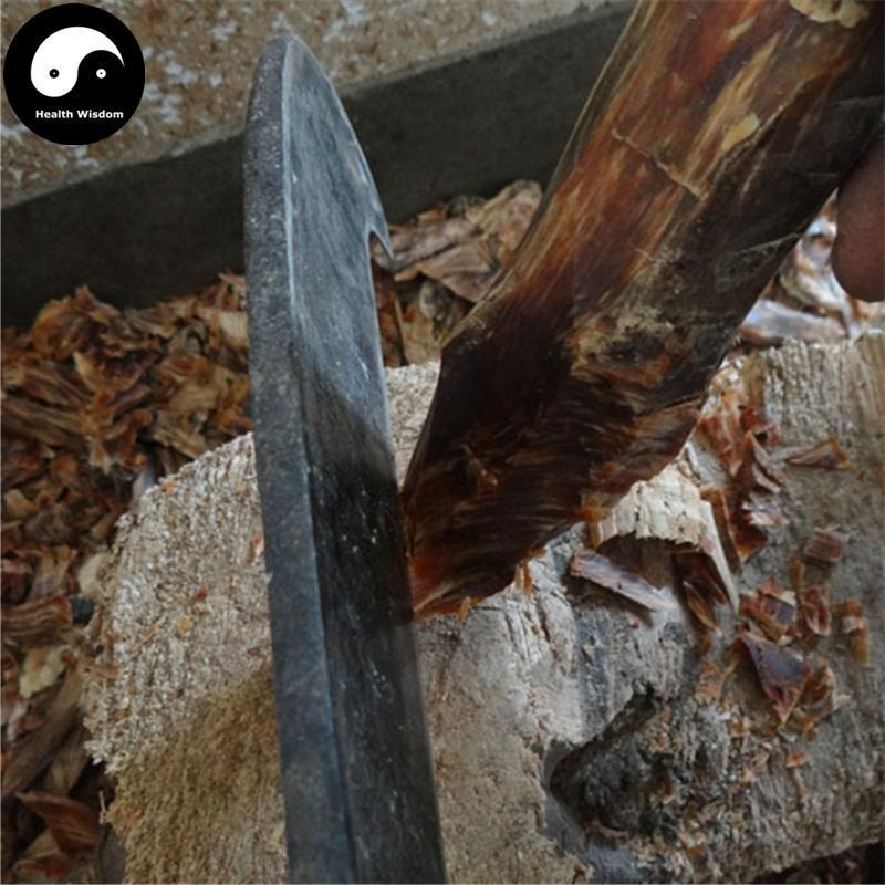 You Song Jie 油松节, Lignum Pini Nodi, Pine Nodular Branch, Song Lang Tou-Health Wisdom™