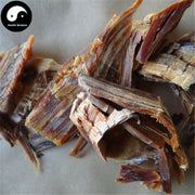 You Song Jie 油松节, Lignum Pini Nodi, Pine Nodular Branch, Song Lang Tou-Health Wisdom™