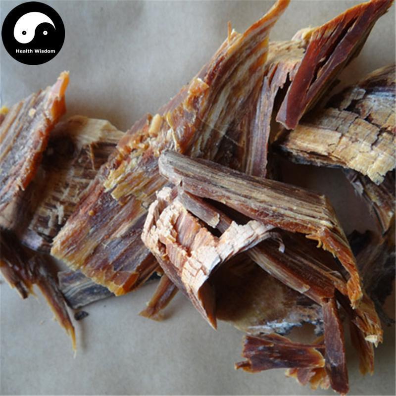 You Song Jie 油松节, Lignum Pini Nodi, Pine Nodular Branch, Song Lang Tou-Health Wisdom™